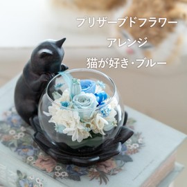 Utihana Preserved Flower Arrangement, Birthday, Celebration, Retirement, Present, Gift, Offering, Cat Motif (Cats Lover Blue)
