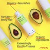 ARROJO Gentle Shampoo, 33.8 Fl Oz
