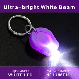RaySoar 100 Pack Ultra Bright Mini LED Keychain Flashlight, Small Key Ring Flashlight, LED Keychain Light for Outdoor Activities Emergency Light - 10 - Colored Shell