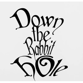 Oracel 22" Down the Rabbit Hole die cut vinyl decal sticker wall  Alice