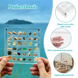 Acrylic Magnetic Seashell Display Box 36 Grids Sea Shell Gem Rock Collection Box Multifunctional Transparent Container Shell Storage Box for Shells Jewelry Starfish Gemstone Trinket Nail Bead
