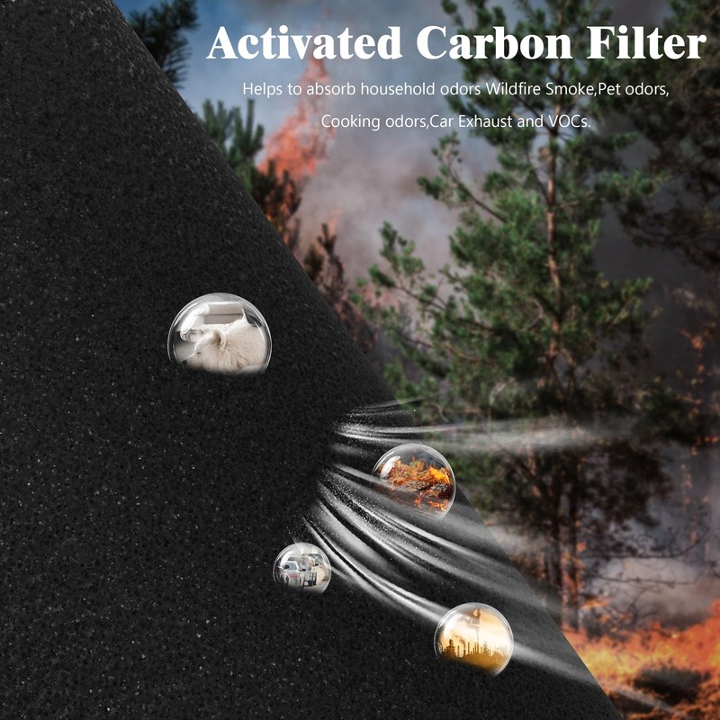 XBWW 2 Packs D10 Replacement Filter Compatible with Tailulu D10