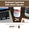 Om Organic Mushroom Nutrition Brain Fuel Superfood Daily Boost Capsule,