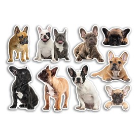 A5 Sticker Sheet Frenchie Vinyl Stickers - Dogs Puppy Bulldog Pets Scrapbooking Travel Decoration Label Friend Girls Boys Aesthetic #80805
