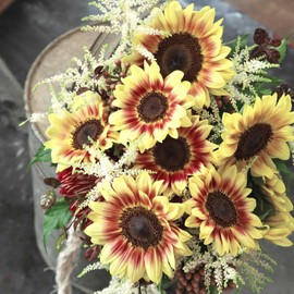 Eden Brothers Sunflower Seeds - Marley