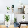 Relota Pack of 3 Flower Pot, White, 15.3 cm Width,