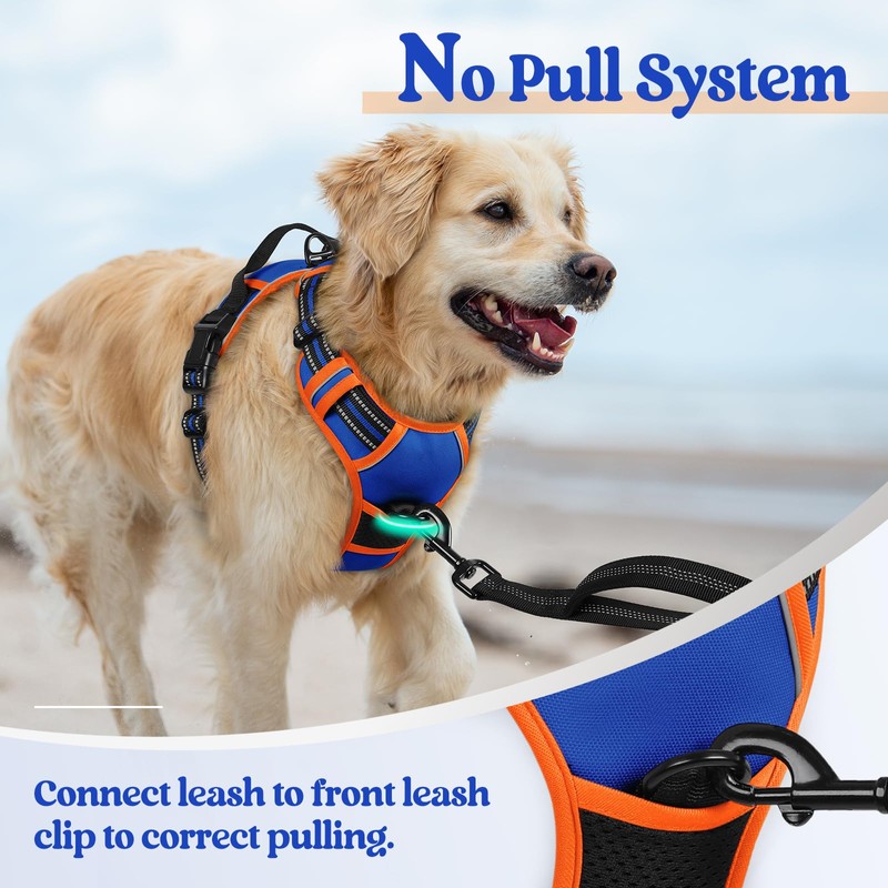 rabbitgoo Dog Harness Large Dog No Pull Pet Harness with