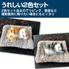 HAMILO Sleeping Cat Object, Car Interior Decoration, Deodorizing, Activated Carbon