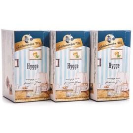 Goldmännchen Tee Hygge Herbal Tea Flavoured with Cinnamon Vanilla Flavour, 20 Tea Bags, Pack of 3