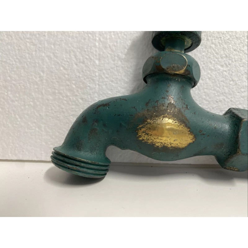 Unknown Multi-Patinate