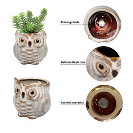 BUYMAX 8 Pack Animal Succulent Plant Pots, 3.0 Inch Mini Owl Ceramic Succulent Planter Pots - Owl Planter for Plants Flower Cactus with Drainage Hole,Gift Box Packaging-Plants Not Included