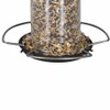 Siena Garden Feeder – Bird Feeder, feeder, Hanging D37191
