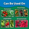 Monterey Liqui-Cop - Copper Fungicide Garden Spray for Citrus and
