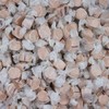 Smarty Stop Salt Water Taffy Every Color (Maple, 1 Pound