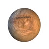 NATUREHOME Olive Wood Bowl 16 cm
