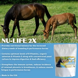 Pennwoods Pennwoods Nu-Life 2X: Horse Supplement, Nutrition Blend for Performance & Breeding, Improves Digestive & Feed, B Vitamin Complex, & Immune Booster, 4LBS