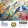 Cross & Glory - Birdsong in Bloom - 1000 Piece
