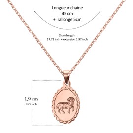 AURSTORE 12 Zodiac Signs Necklace Stainless Steel 12 Zodiac Signs with 45cm Chain + 5cm Extender Charming and Elegant 3 Colours to Choose From, Pink, Women, Girls, Stainless Steel, Stainless Steel