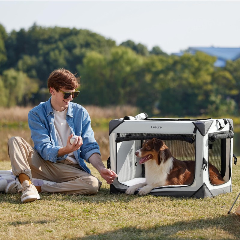 Lesure Collapsible Dog Crate - Portable Travel Kennel for Medium