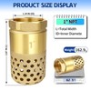 Brass Foot Valve 1 inch NPT Heavy Duty Spring Mesh
