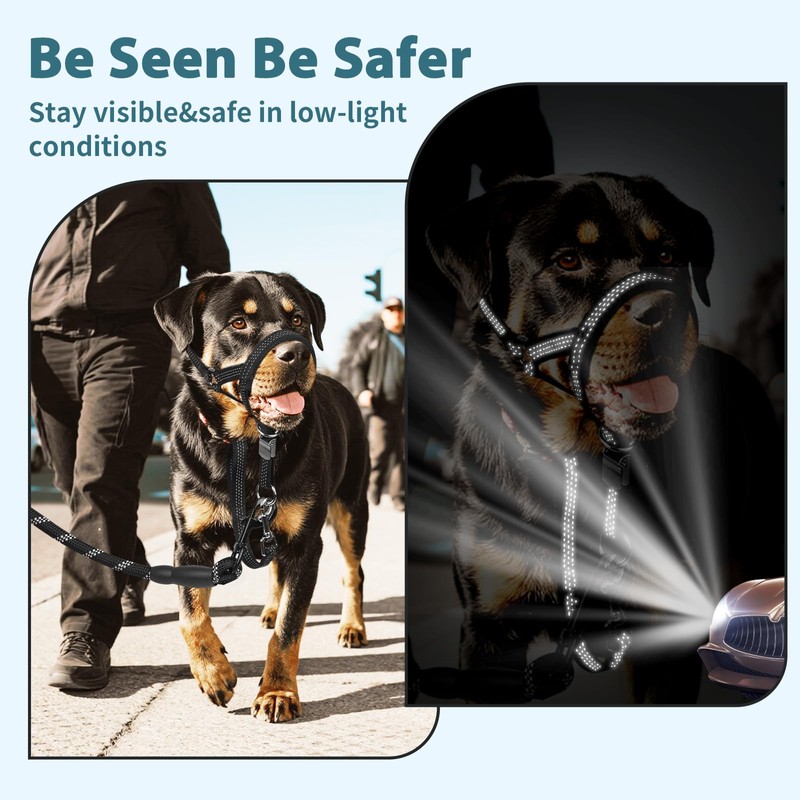 BARKLESS Sturdy No Pull Head Collar for Medium Large Dogs,