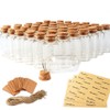 OurWarm 48PCS 25ml Clear Glass Bottles with Cork Stoppers, Mini