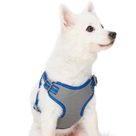 Blueberry Pet Pastel Colored Reflective Dog Harness with Seatbelt Clip – Adjustable No-Pull Pet Vest for Walking and Car Safety, Small Size in Navy Blue