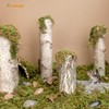 Niteangel 5L Forest Moss Soft Natural Moss Bedding Nesting for
