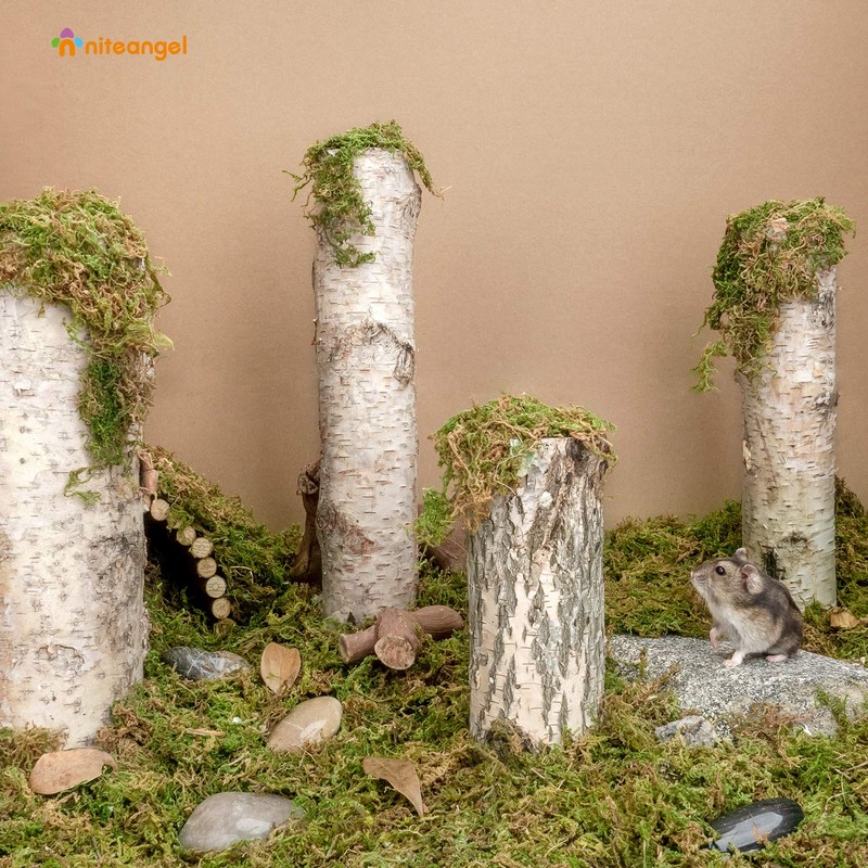 Niteangel 5L Forest Moss Soft Natural Moss Bedding Nesting for
