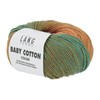 Lang Baby Cotton Colour