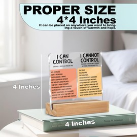 Mental Health Things I Can Control Decor Sign, Motivational Office Acrylic Sign With Wooden Stand, Thank You Gifts for Woman Coworker Nurse Friends Decorative Desk Accessories Table Shelf Decor-1