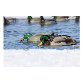 Avery PG Mallards-Surface Feeder Pack (Pair)