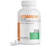 Bronson Vitamin B6 100mg Premium Vitamin B6 Supplement, 250 Tablets