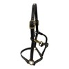 Huntley Equestrian Fancy Stitched Adjustable Premium Leather Pony Halter with