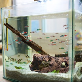 CORISRX BEST OF YOUR LIFESTYLE Aquarium Decorations Hollow Cave Fish Tank