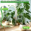 SupKing Telescoping Plant Stakes 37 inch,Adjustable Green Monstera Support Stake