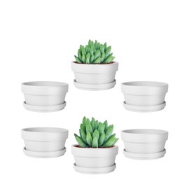 vensovo 4.5 Inch White Terracotta Shallow Succulent Pots - 6 Pack Terra Cotta Clay Pot with Saucer, Cacuts Indoor and Outdoor Planters with Drainage Hole