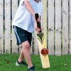 PSE Leather Practice Hanging Cricket Ball, Size Standard, (Red)