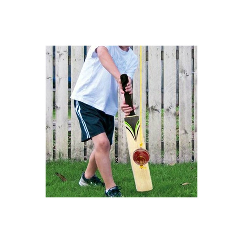 PSE Leather Practice Hanging Cricket Ball, Size Standard, (Red)