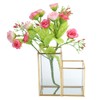 Glass Storage Container Garden Polygonal Column Golden Brass Bar Welding