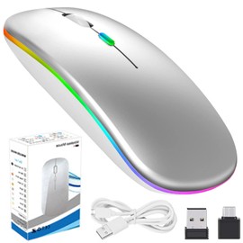 DQST Mouse Inalámbrico, 2.4G Mouse Inalámbrico Recargable, con Receptor USB y Convertidor Type-c, 3 dpi Ajustables, Clic Silencioso, Luz de Respiración de Retroiluminación Colorida.(Plata)