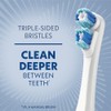 Spinbrush Smart Clean - Cepillo de dientes eléctrico con pilas,