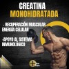 Creatina Monohidratada Glutamina 1 Kg Cu More Than Pure