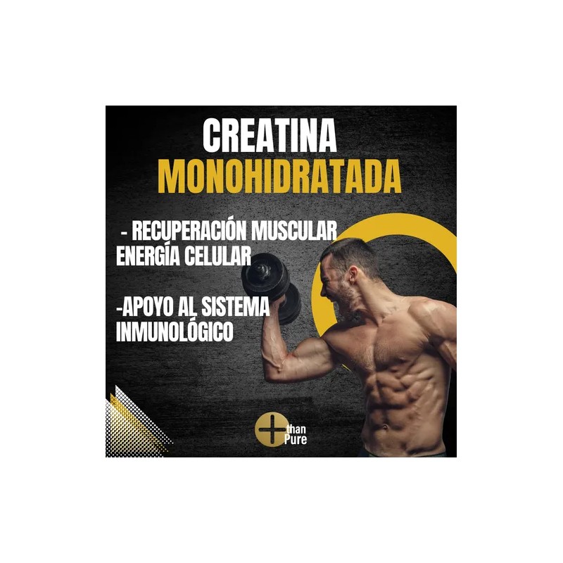 Creatina Monohidratada Glutamina 1 Kg Cu More Than Pure