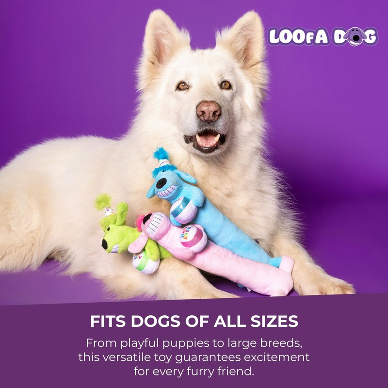 Multipet Loofa Dog Plush Toy w/ Birthday Hat - Squeaky