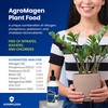 AgroMagen Plant Food with Essential Nutrients & Chelated Micronutrients, Liquid