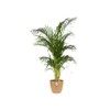 elho Brussels Round 16 - Flower Pot for Indoor -
