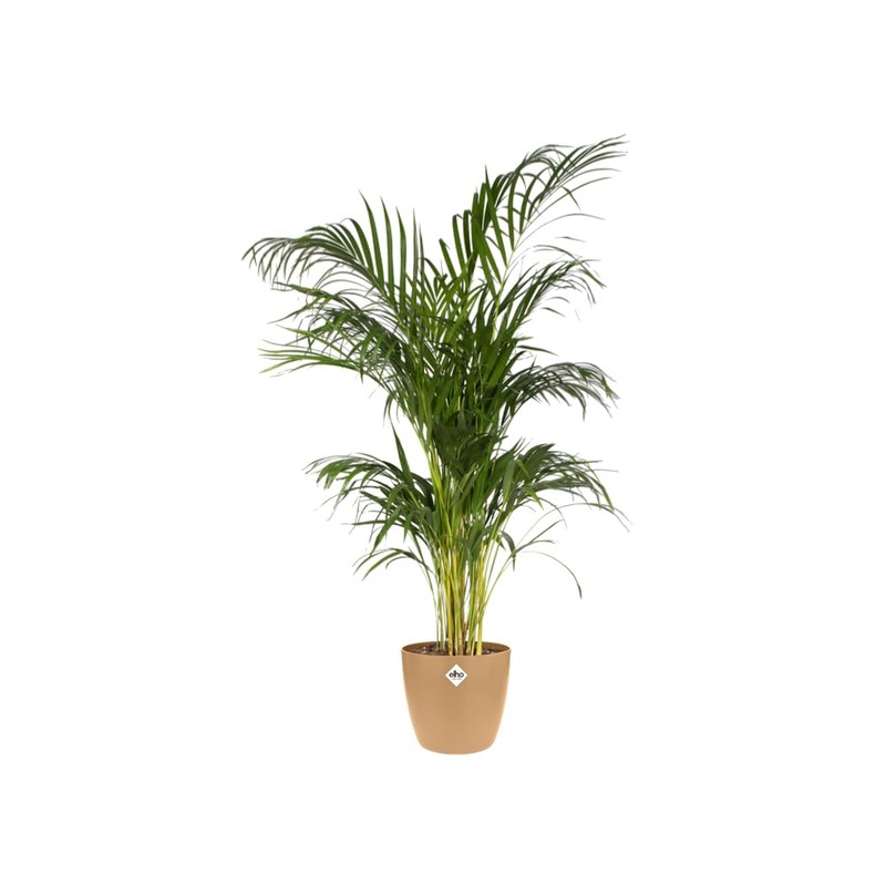 elho Brussels Round 16 - Flower Pot for Indoor -