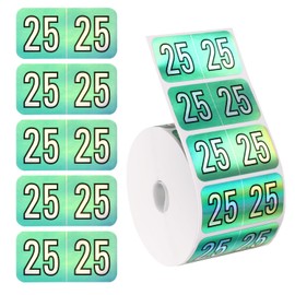 500pcs 2025 Year Stickers, 1.49x0.74 Inch 2025 Stickers Holographic Number Stickers 2025 File Folder Year Labels 2025 Stickers Foil for Chart Folder Office Supplies (Light Cyan)