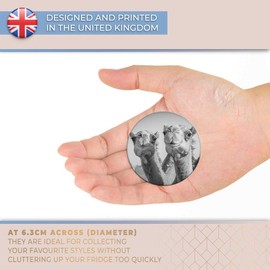 Destination Vinyl ltd Magnet for Refrigerator, Fridge BW - Cute Smiling Camels Animals Desert for Office, Cabinet and Whiteboard, Magnetic Stickers, 40962